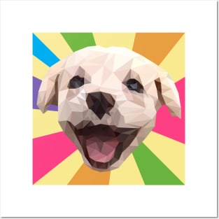 Golden Retriever Dog Face Posters and Art